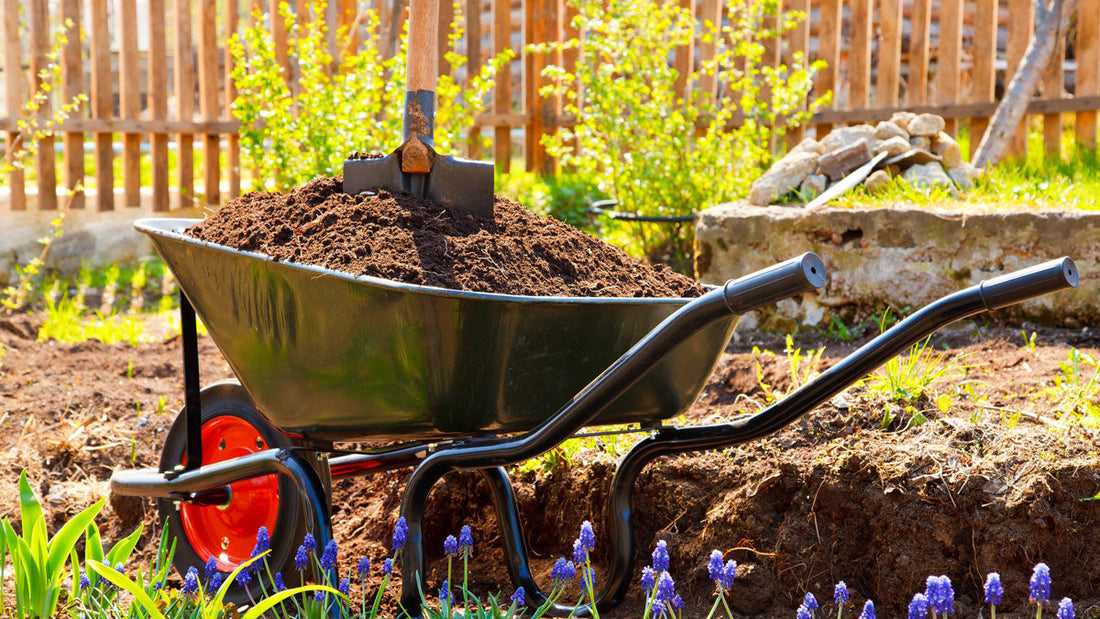 Compost Mulch