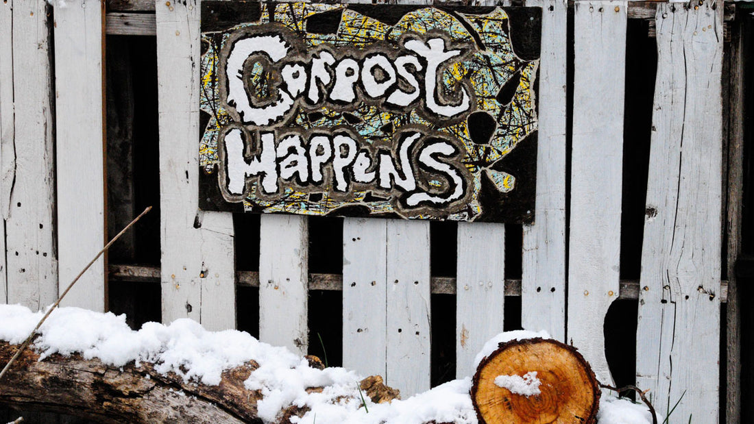 Why Backyard Composting is Better than Municipal Composting
