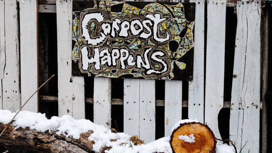 Why Backyard Composting is Better than Municipal Composting