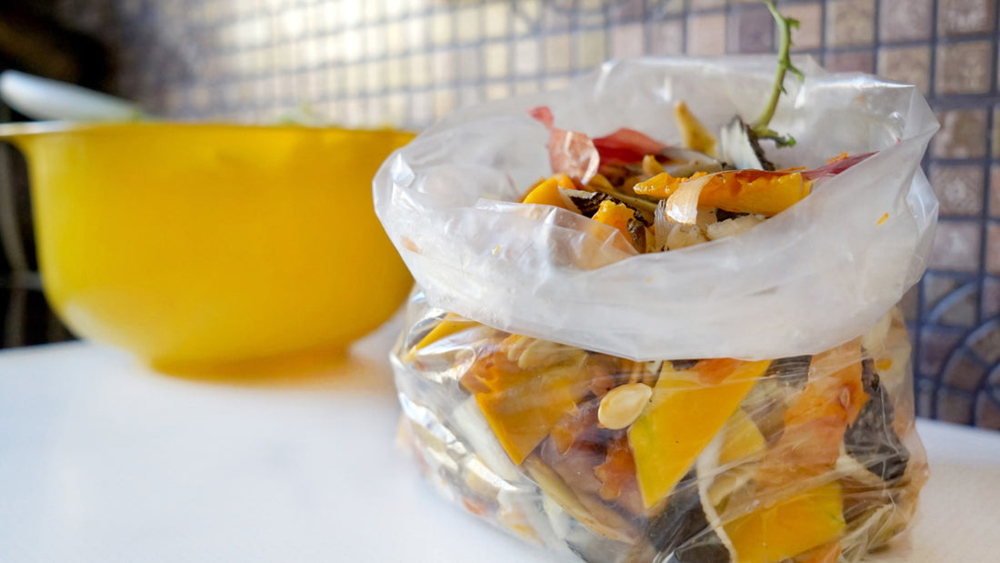 Managing Your Compost with One Bin